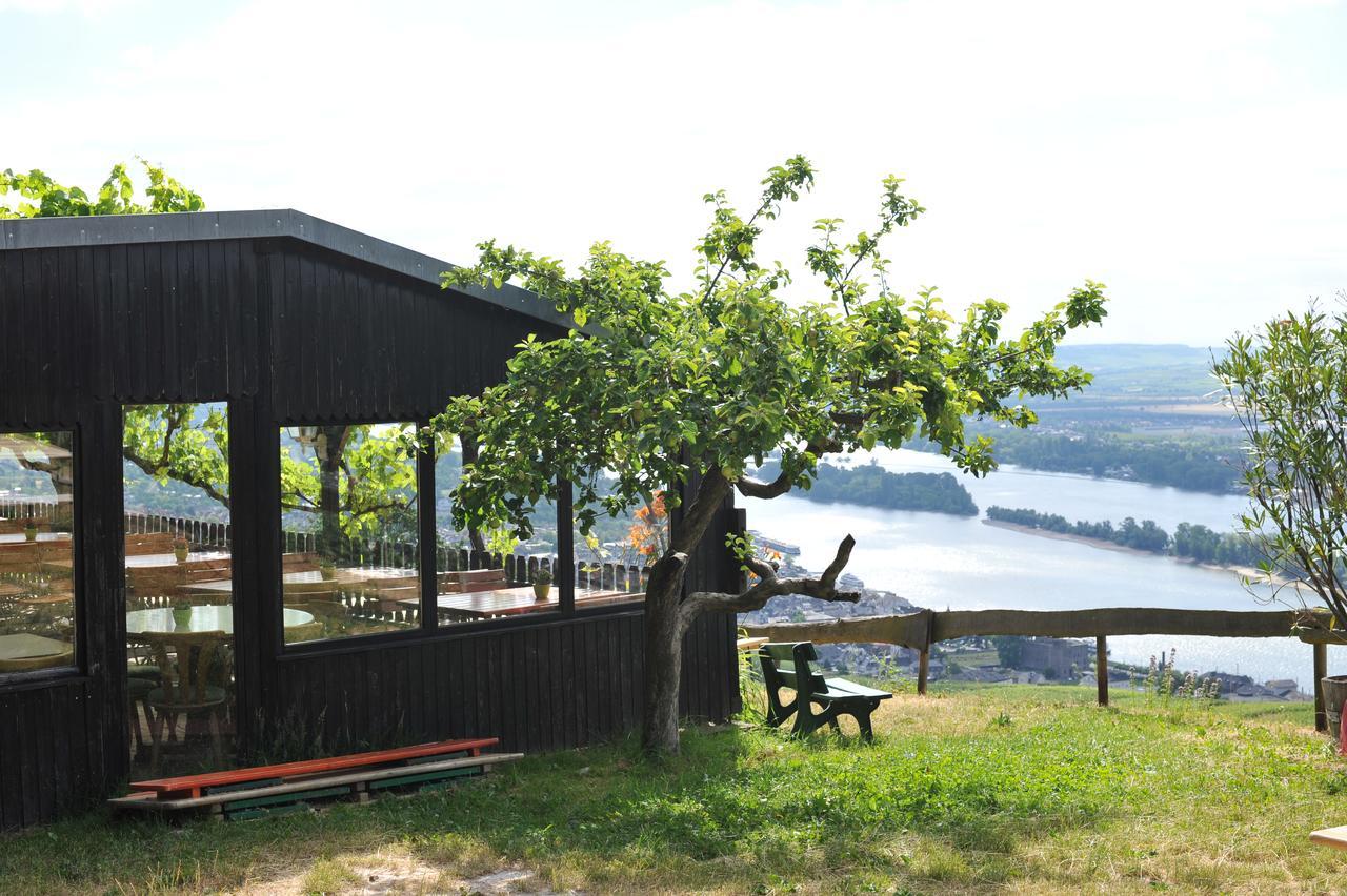 Das Rebenhaus 吕德斯海姆 外观 照片