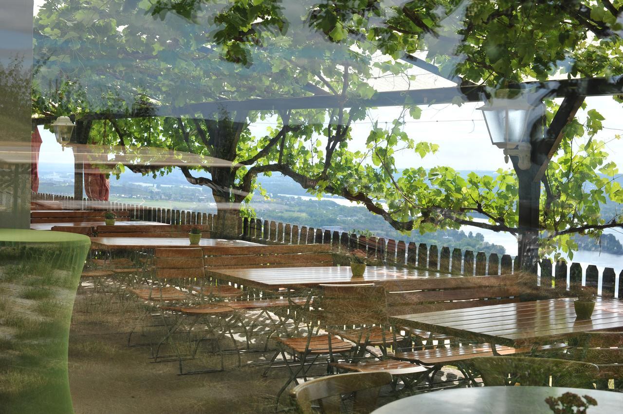 Das Rebenhaus 吕德斯海姆 外观 照片